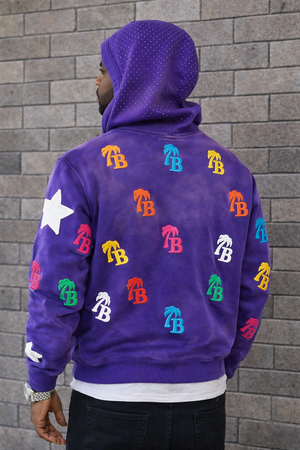 Men’s Purple “Who Cares Get Some Money” Zip-Up Hoodie – Premium Streetwear Graphic Hoodie